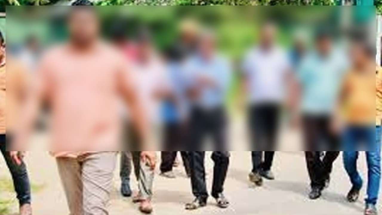 ගෙයින් ගෙට කැන්වසින් යද්දී මේ උපදෙස් පිළිපදින්න