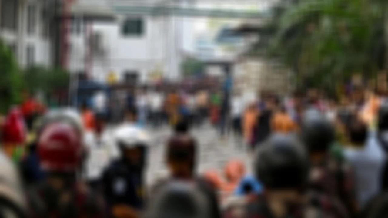 සරසවි තුලට බුද්ධි අංශ යොදන්නැයි කියයි