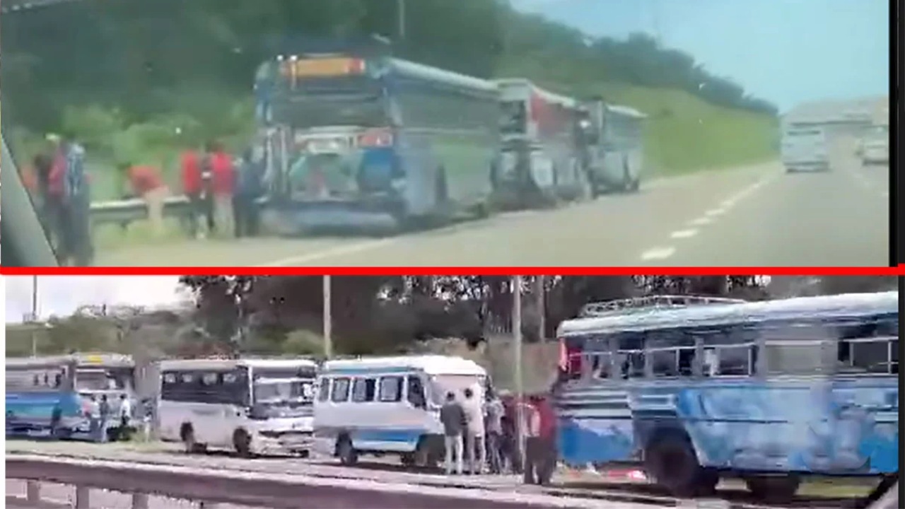 මැයි දිනයට ආ මාලිමා බස් අධිවේගයේ නවත්වා කෑම කති (VIDEO)