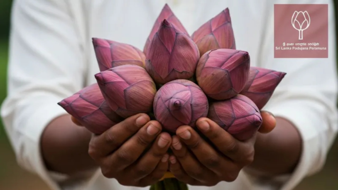 පොහොට්ටුව සහය දෙන්න කෙනෙක් සොයයි.!