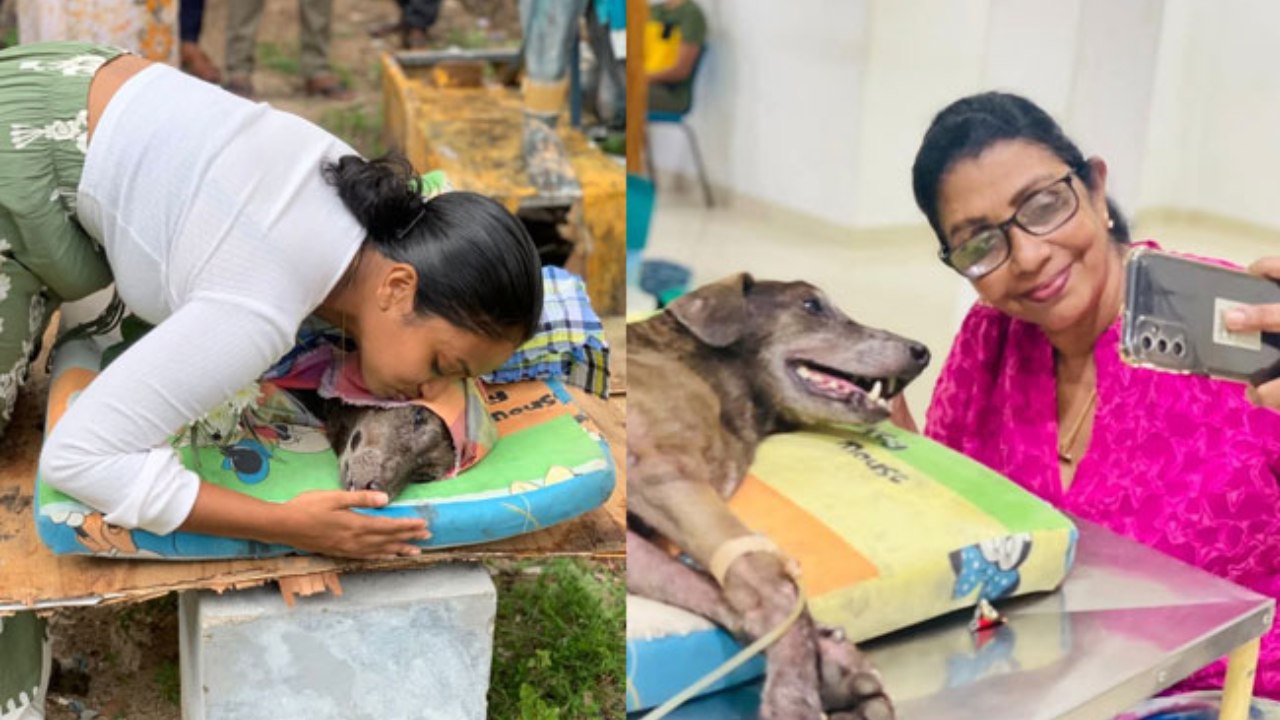 හැමෝගෙම තනි රැක්ක, ආදරේ ඩැහැ ගත්ත, “කළු” ගැන ඇහෙන කතාව