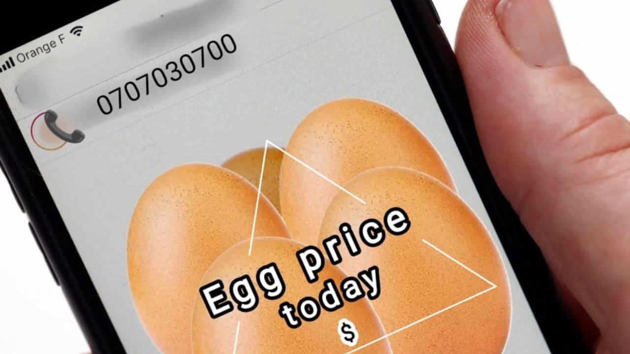 බිත්තර මිල වැඩි වෙයි?- මිල දැනුම් දීම් දැන් හැමදාම ඔබේ දුරකථනයට