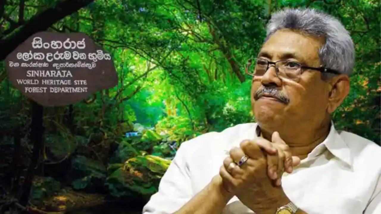 ලෝක උරුම සිංහරාජය වැනසූ ගෝඨාභයට උපරිම දඬුවම්.?