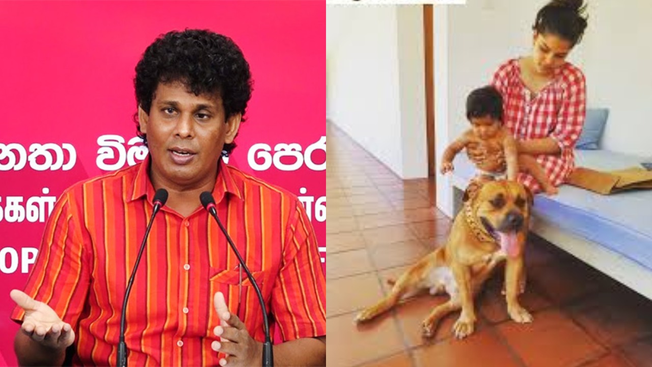 අපේ නෝනගේ කරෙත් මාලේ නෑ! චිචීගේ බල්ලගේ චේන් එක පවුම් 90යි..! – වසන්තට ජීවිතේම කලකිරීමක්