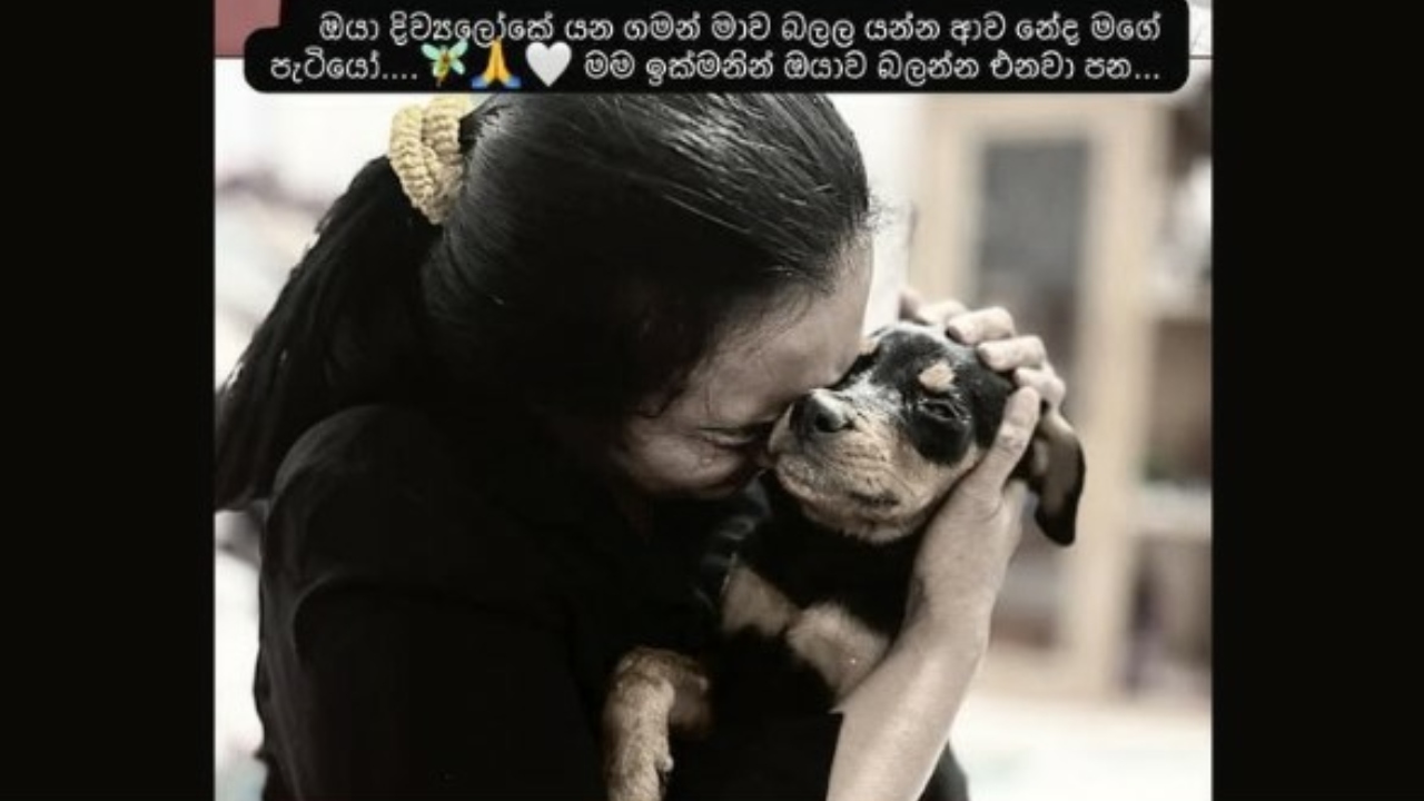 “මගේ ජීවිතේ පුරාම මට ඔයාව මතක් වෙයි… ඒ අහිමි වීම මට ආත්මයේ කොටසක් අහිමි වීමක් ලෙස දැනේ…” – ගයාත්‍රි ඩයස් තැබූ සංවේදී සටහන
