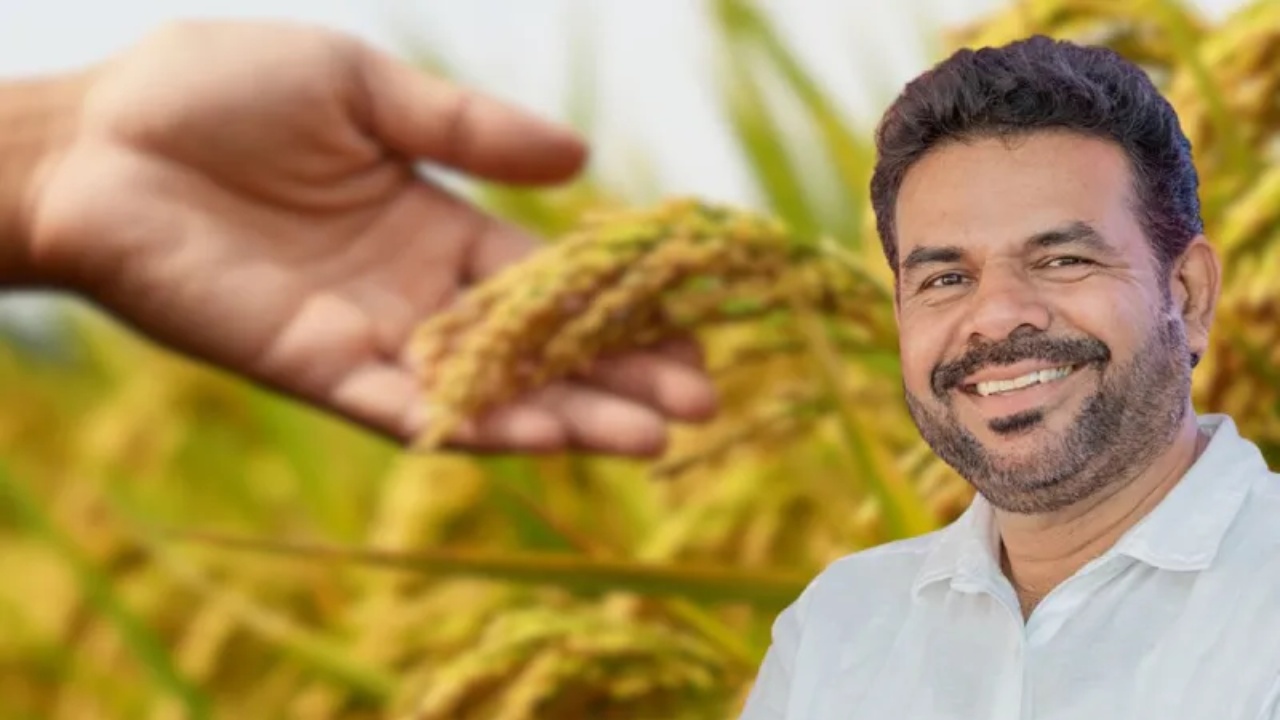අස්වැන්න 3 ගුණයකින් වැඩි කරන දේශීය වී ප්‍රභේදයක් නිපදවයි.!
