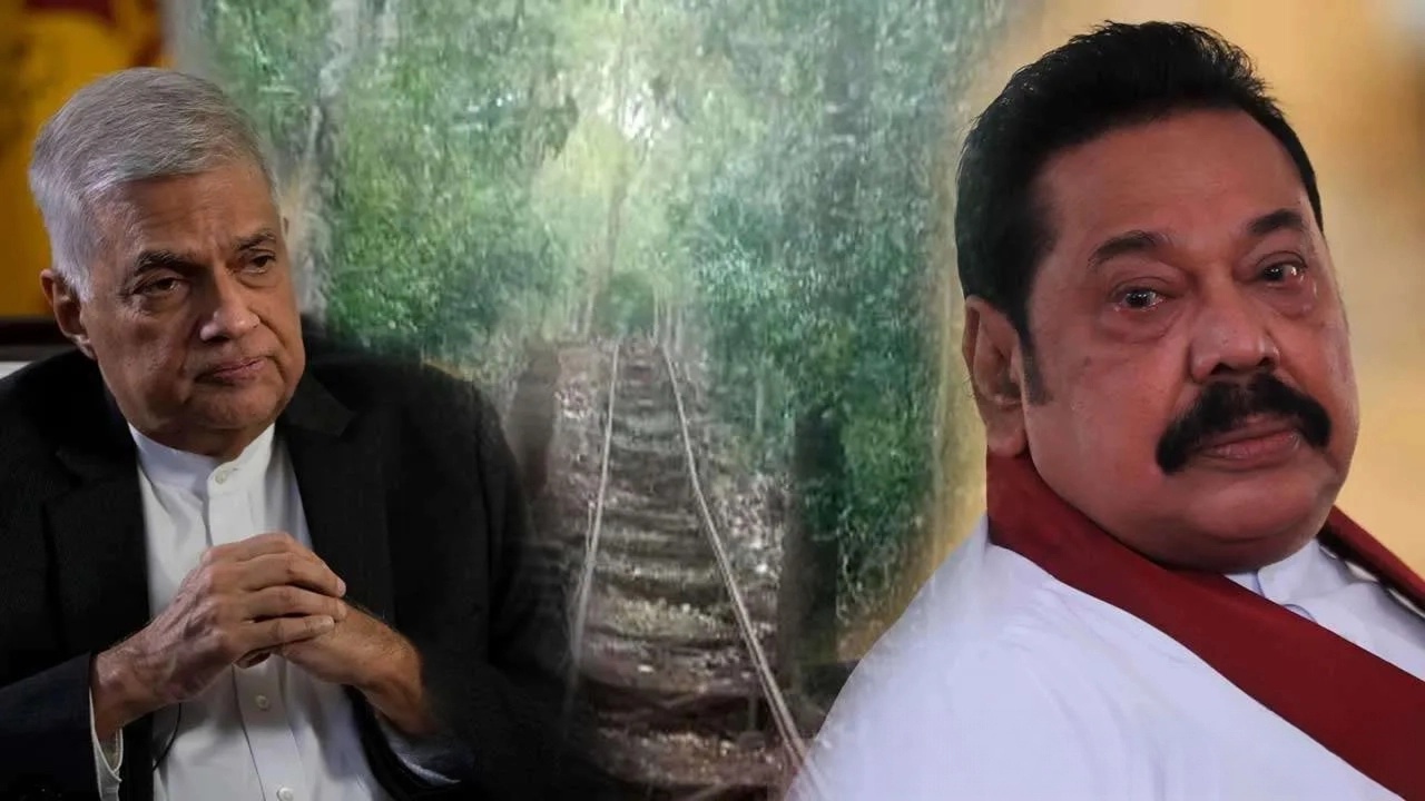 නා උයන ආරණ්‍යයේ ඛේදවාචකය ගැන මහින්ද සහ රනිල් ශෝකය පළ කරයි