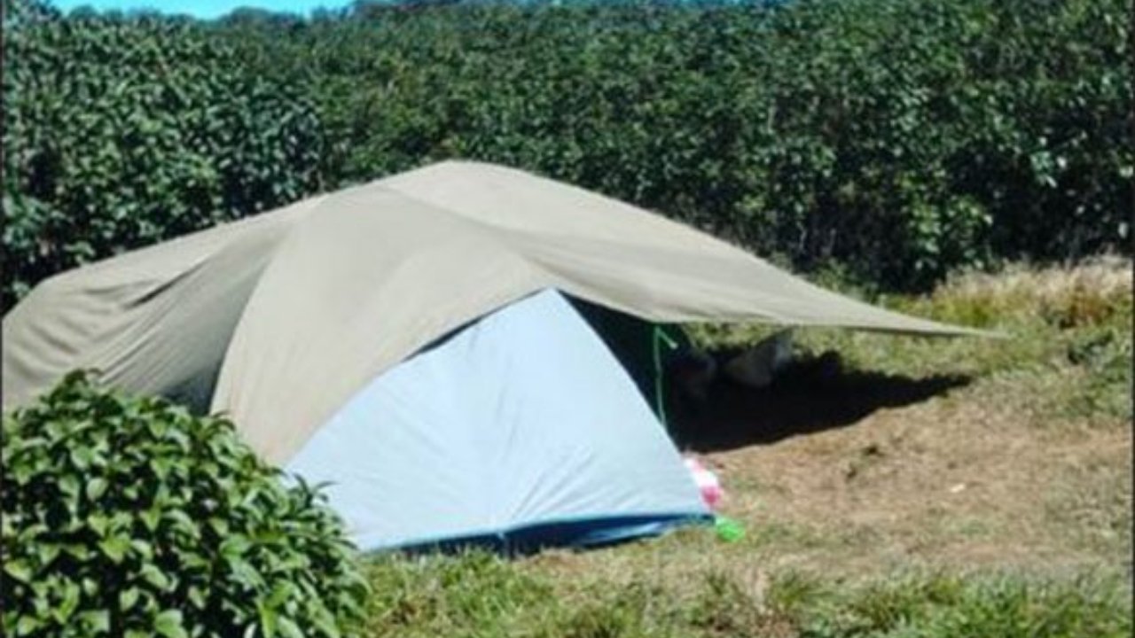 කොල්ලෝ 24 යි , කෙල්ලෝ දෙන්නයි.. බුකියෙන් යාළුවෙලා.. පිදුරුතලාගල රක්ෂිතයේ වාඩි ගහලා , ජොලි කරලා.. අන්තිමේ වෙච්ච දෙයින් දවල් තරු පෙනිලා