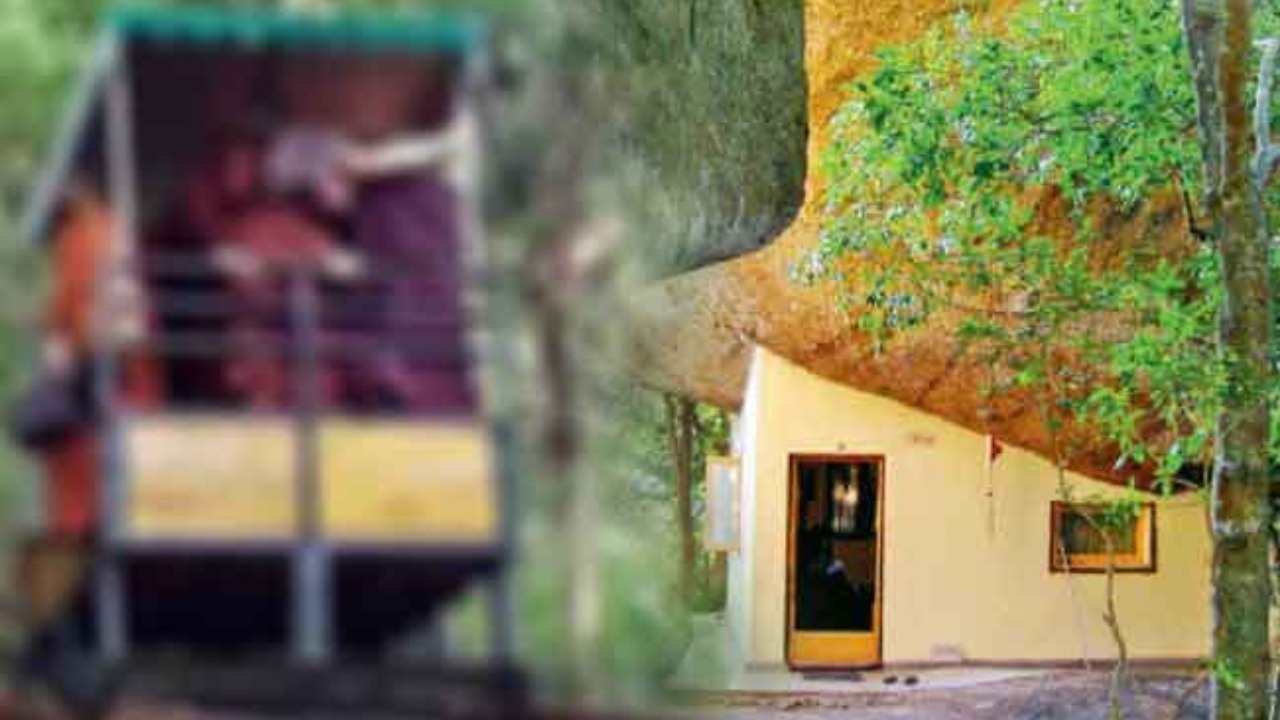 නා උයන ආරණ්‍ය සේනාසනයේ අනතුරින් තුවාල ලැබු හිමිවරු රෝහලට – හිමිවරු දෙනමක් ඩක්කුවෙන් පැන දිවි බේරාගෙන