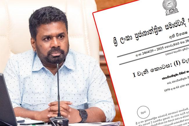විදුලිබලය සැපයීම ඇතුළු සේවා රැසක් අත්‍යවශ්‍ය සේවා බවට පත්කරයි