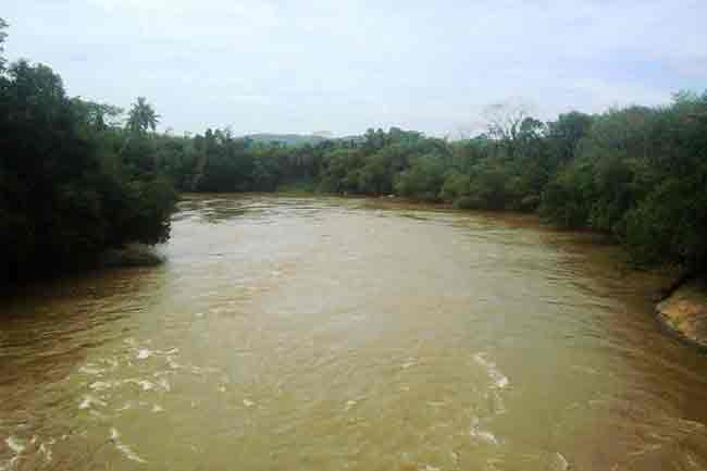 කැලණි ගඟේ ජල මට්ටම ඉහළට – ජනතාවට ඉවත්වන්නැයි උපදෙස්