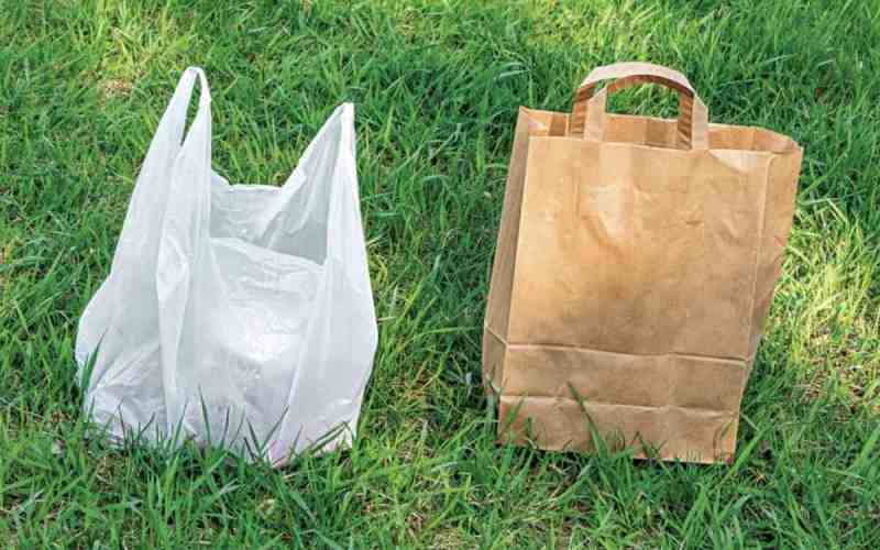 පොලිතීන් බෑග් වෙනුවට පරිසර හිතකාමී කඩදාසි බෑගයක්