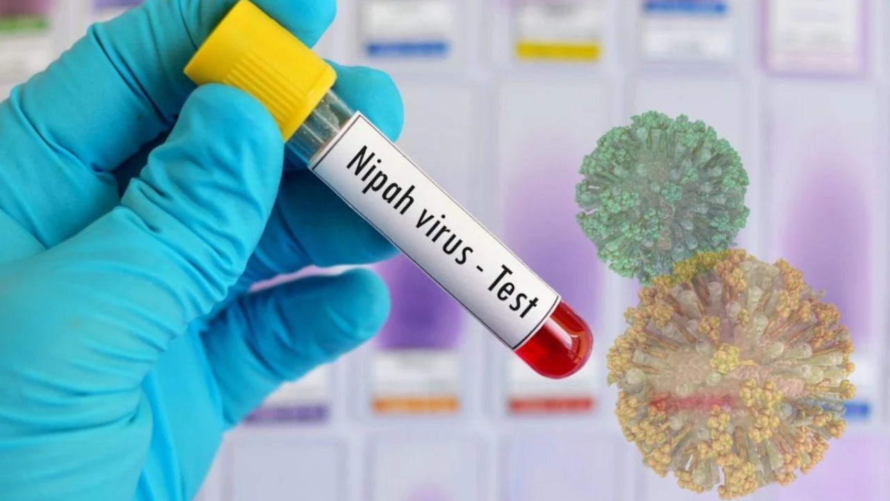 නිපා වෛරසයෙන් ලංකාවට අවදානමක්ද? සෞඛ්‍ය අමාත්‍යාංශයෙන් නිවේදනයක්