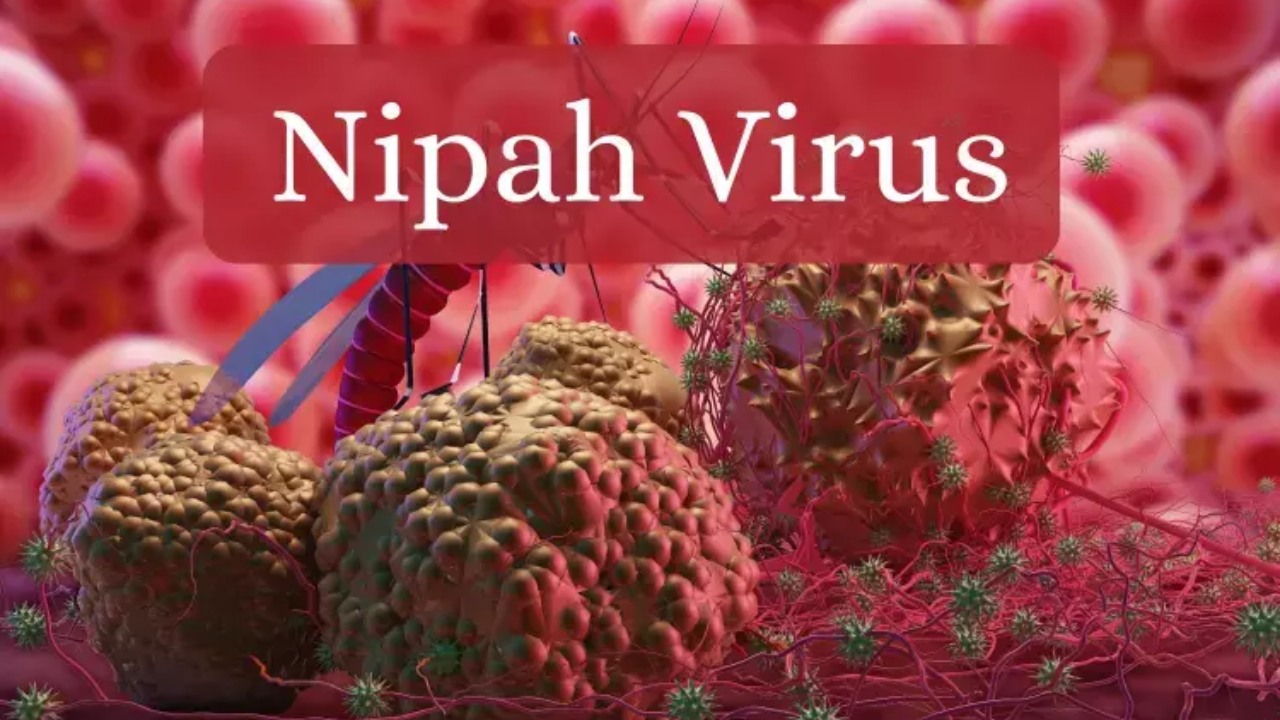 ලෝකෙම බය වෙලා ඉන්න නීපා වෛරසය සම්බන්ධයෙන් ලංකාවටත් දැනුම් දීමක්