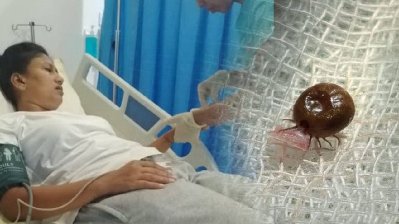 ”ලොකුවට වේදනාවක් තිබුණෙ නැති නිසා ටිකක් බලන්නම් කියලා හිටියා” ”මට මගේ කන ගලවලා විසිකරන්න තරම් වේදනාවක් ආවා. පුතා අඬනවා මට පේනවා…” – ඇස් අදහාගන්න බැරි සිද්ධියක් ගැන සුලෝචනා කියූ ඒ කතාව මෙන්න