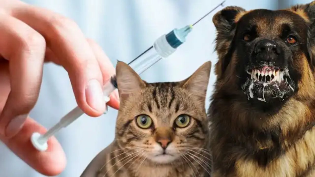 රෝගය මාරාන්තිකයි.. වහාම ප්‍රතිකාර ගන්න.!