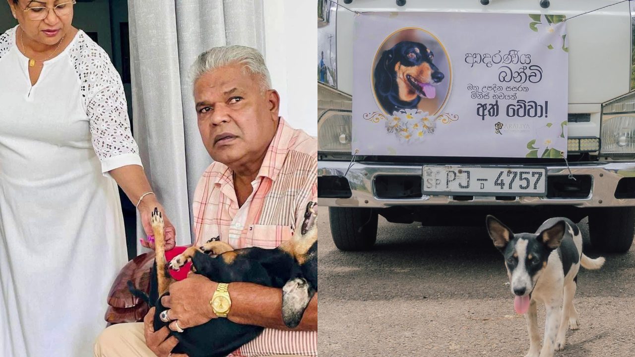 ”බංචි කෙල්ල නික්මිලා අදට දෑ අවුරුද්දයි…! – සුරතලෙක් වෙනුවෙන් මේ තරම් ගෞරවයක්