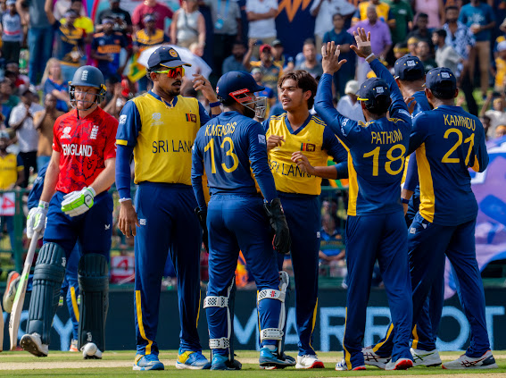 සුපිරි 8 සිංහයින්ගේ පළමු පියවර වරදී 