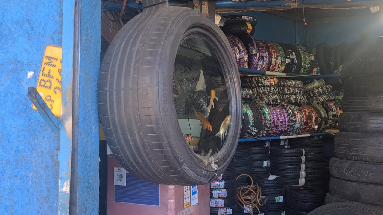 “උනන්දුවයි කැපවීමයි තියෙනවා නම් විසි කරන ඕනෑම දෙයකින් ලස්සන දෙයක් කරන්න පුළුවන්” විසි කරන පරණ ජීප් ටයර් එකට ආපසු අලුත් පණක් දීලා….