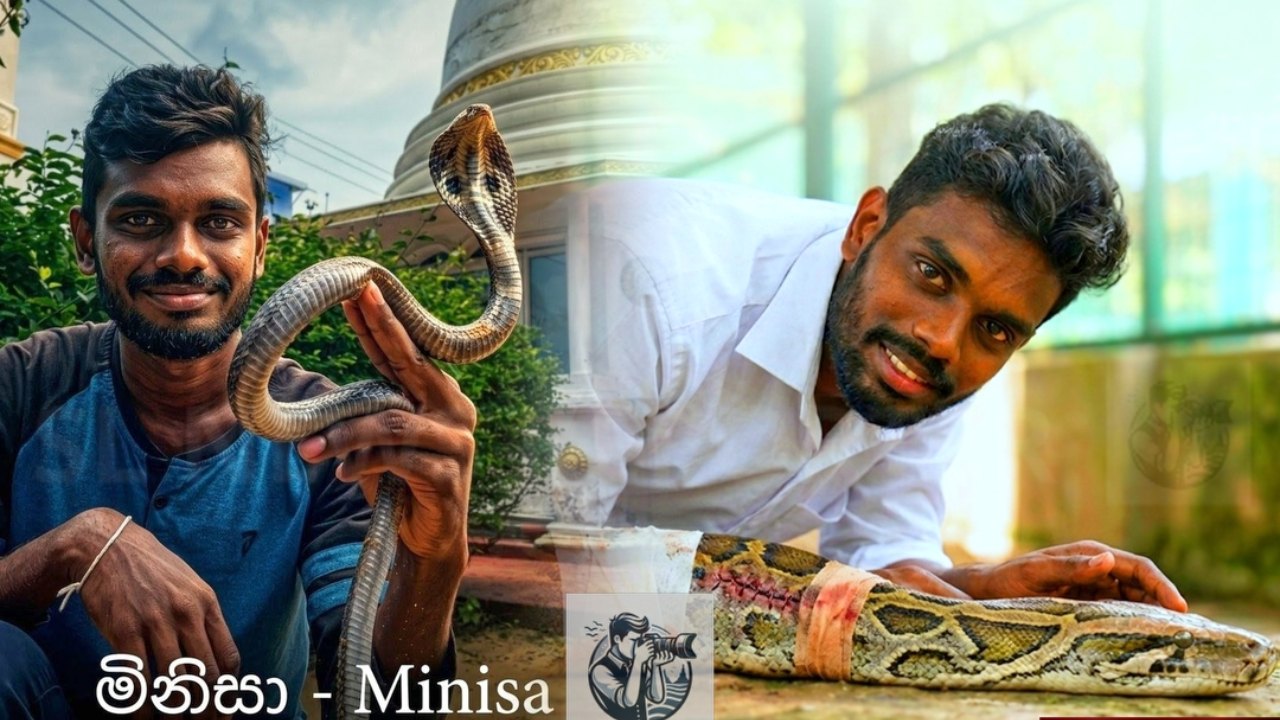 “මේ අත් දෙකෙන් ආය ප්‍රතිකාරයක් වෙන එකක් නෑ…” ඕනෑම සර්පයෙක් අල්ලන්න පුළුවන් ලක්ෂාන්, ඒ සිද්ධියෙන් පසු හිතට දැනෙන කතාවක් කියයි..