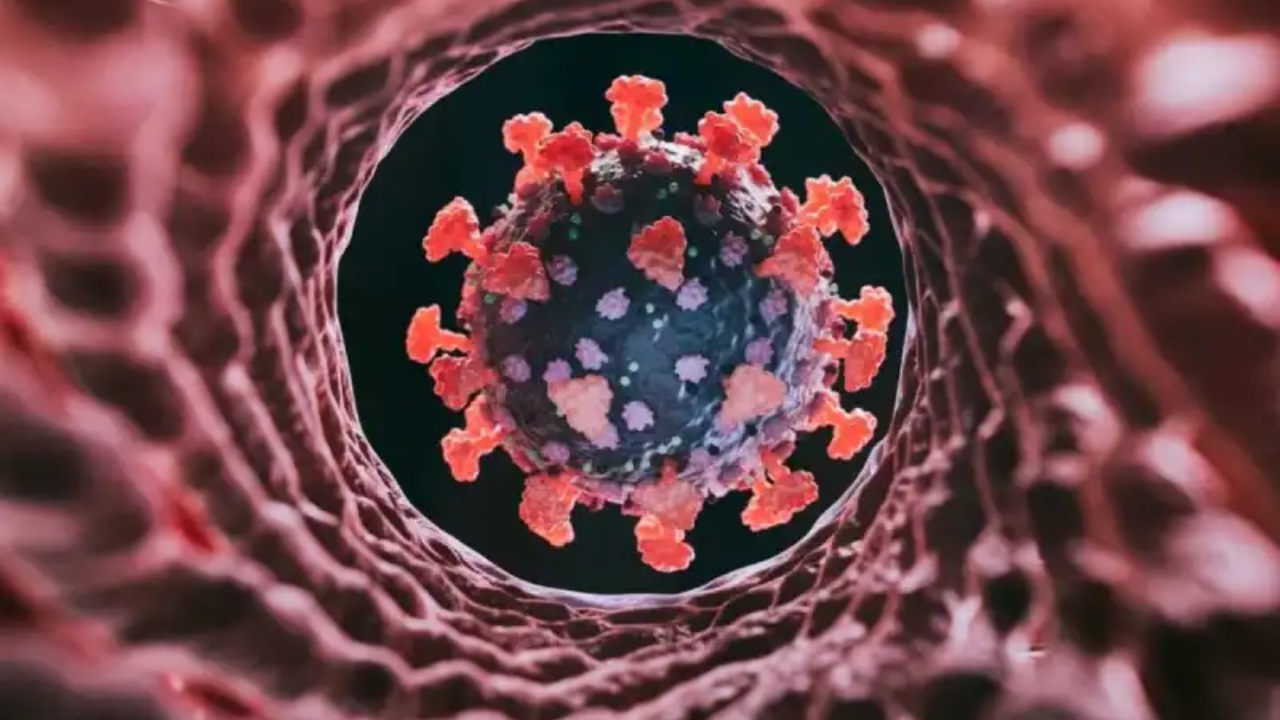 යුද ගැටුම් අස්සේ රටවල් 23කින් විකෘති වූ නව කොවිඩ් ප්‍රභේදයක් මතුවෙයි