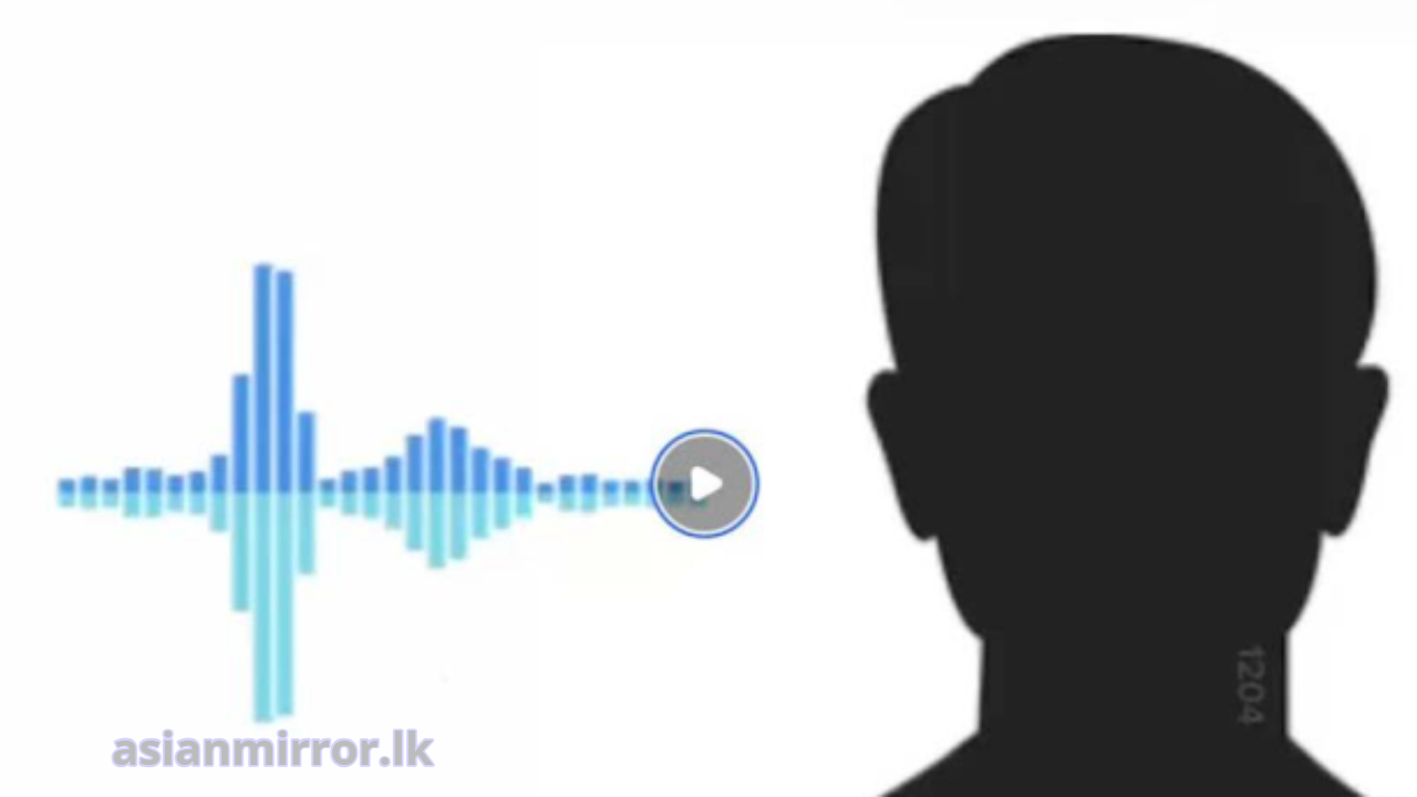 ආන්දෝලනාත්මක හඬපටය ගැන ගල් අඟුරු  සමාගමේ සභාපතිගෙන් නිවේදනයක්