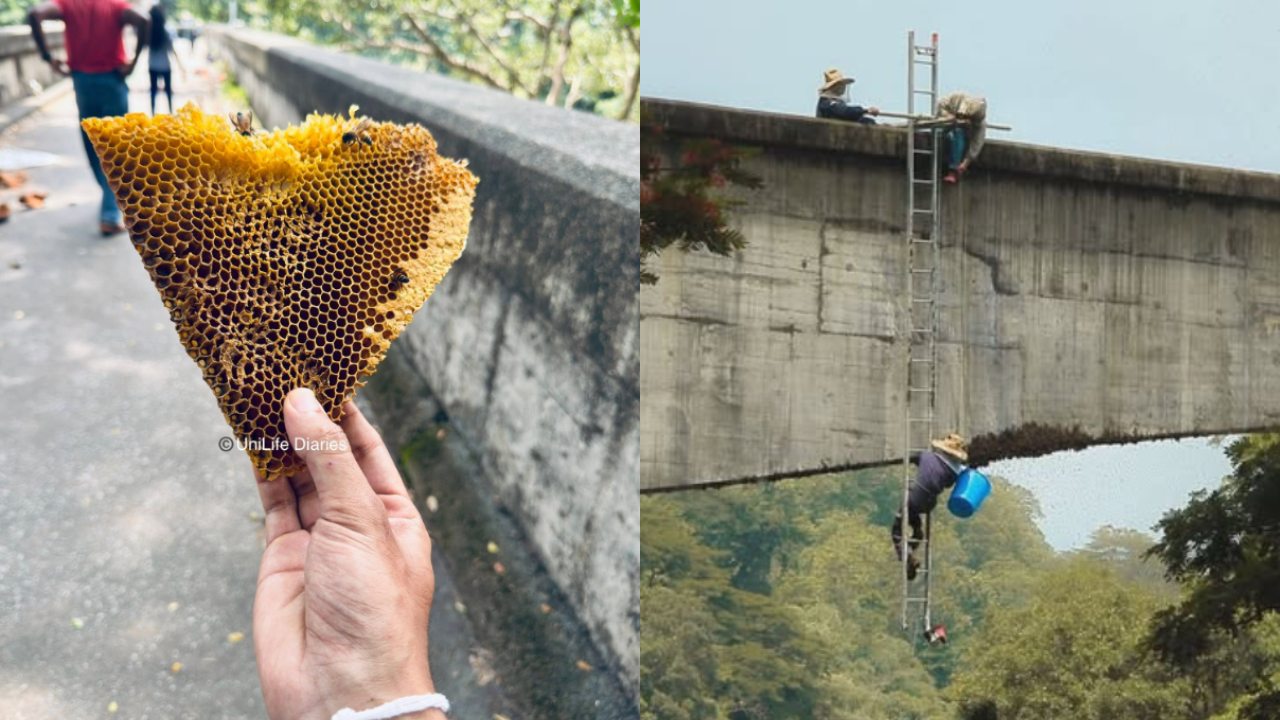 මහවැලිය උඩ ජීවිතයත් මරණයත් අතර අභියෝගාත්මක සටනක් – මුහුණු පොතම කැළඹූ සරසවි සිසුවිය