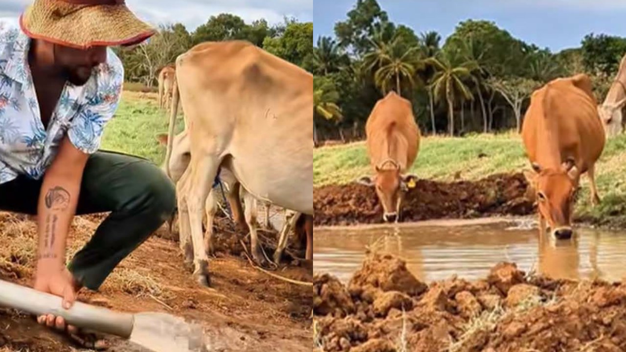 පිපාසිත වූ අහිංසක සතුන් වෙනුවෙන් තරුණයෙක් කරපු අපූරු වැඩේ