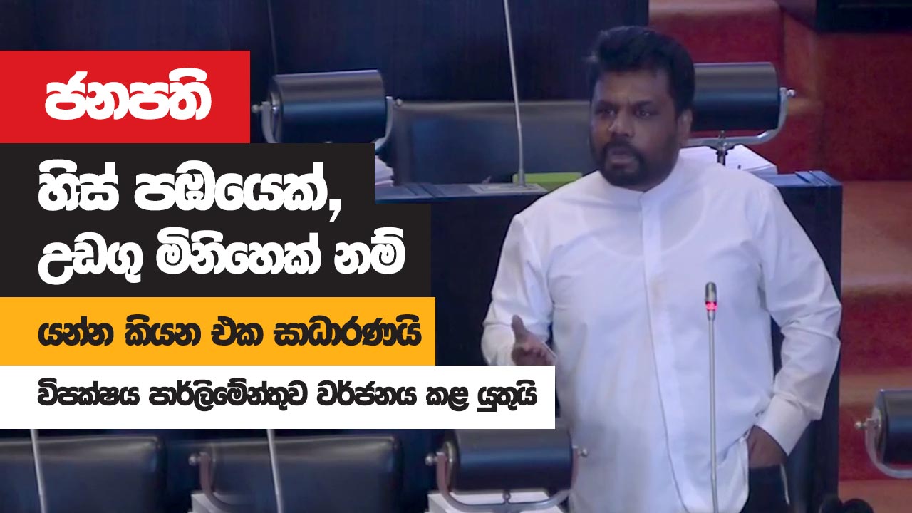 ජනපති හිස් පඹයෙක් නම් උඩගු මිනිහෙක් නම් යන්න කියන එක සාධාරණයි