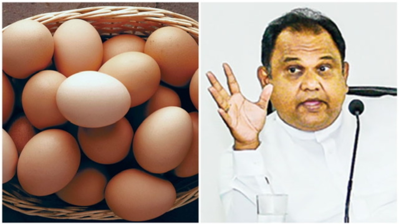 බිත්තර ලක්ෂ 20ක් රේගුවේ හිර කරලා – ඇමතිගෙන් දෝස්මුරයක්