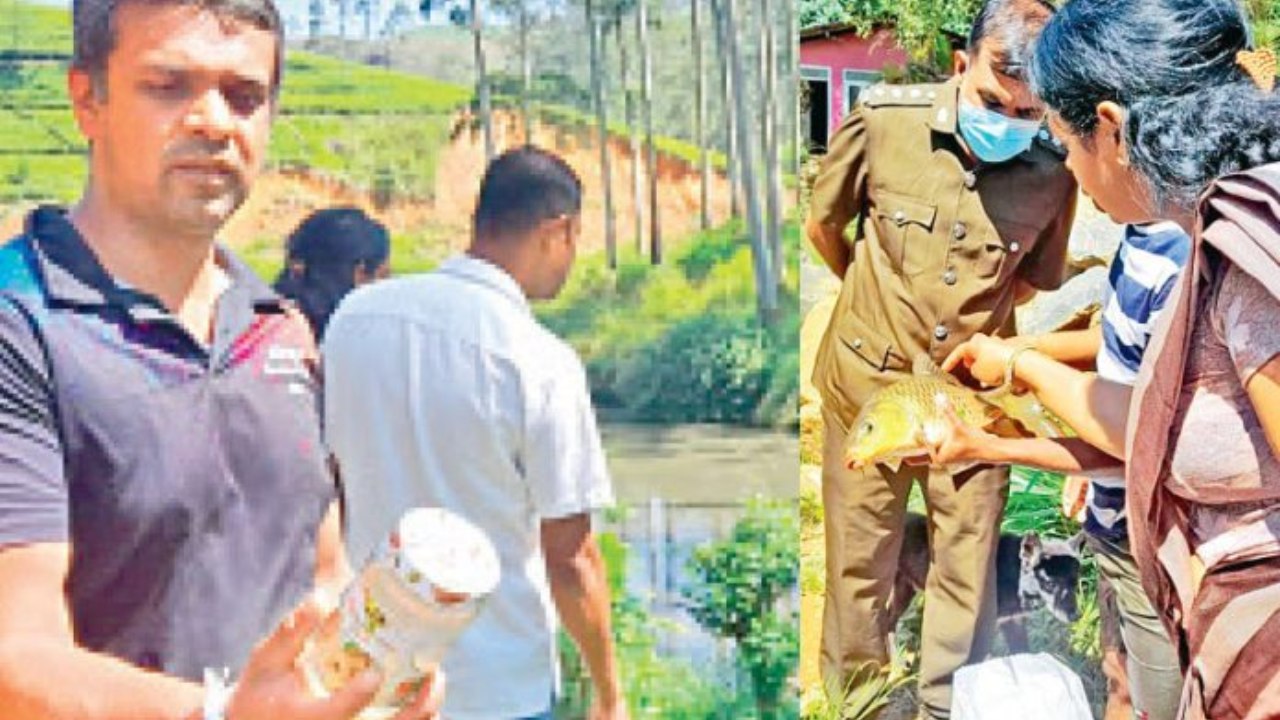 මේ මසුන් කෑමට ගන්න එපා – සෞඛ්‍ය බලධාරීන් අනතුරු අඟවයි