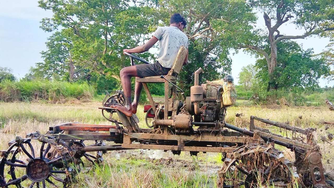 රෑ දවල් දෙකේම හාන්න තරුණයෙක් හදපු “ගොයියා ගොඩ” 