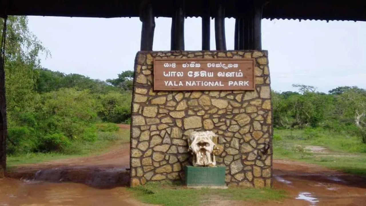 යාල ජාතික වනෝද්‍යානයේ ප්‍රධාන පිවිසුම වැසේ