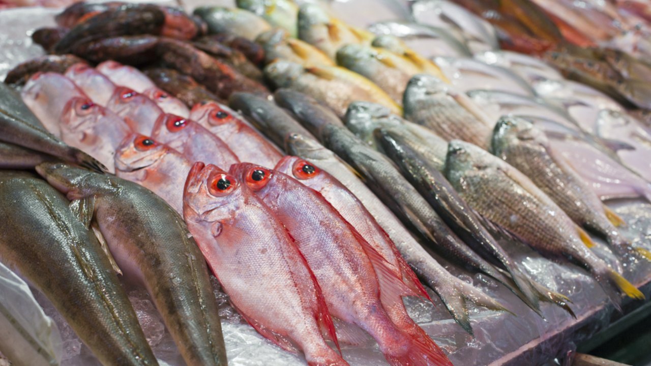 හදිසියේම මාළු මිල වෙනස් වෙයි – මෙන්න නව මිල