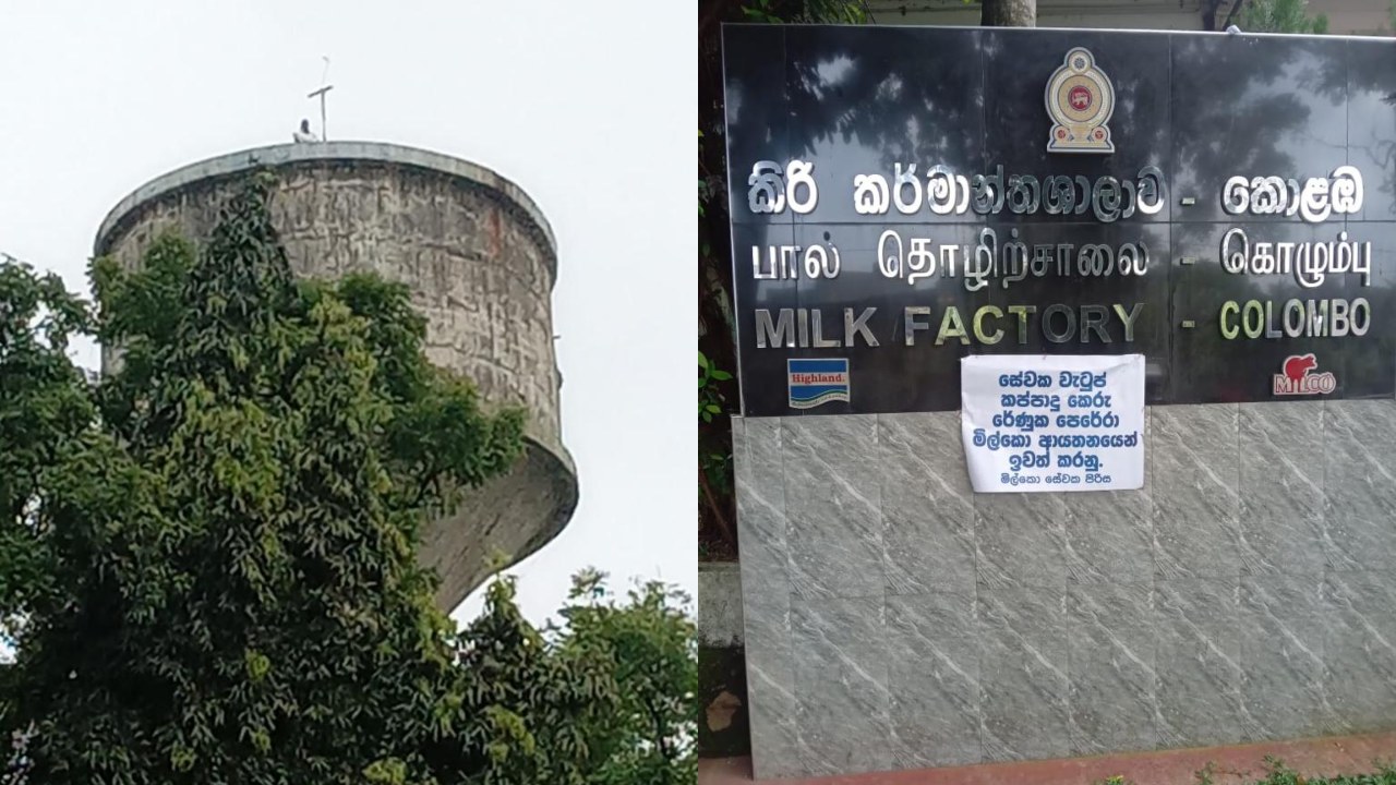රේණුක එලවන්න සේවකයෙක් වතුර ටැංකියක නැග විරෝධයක