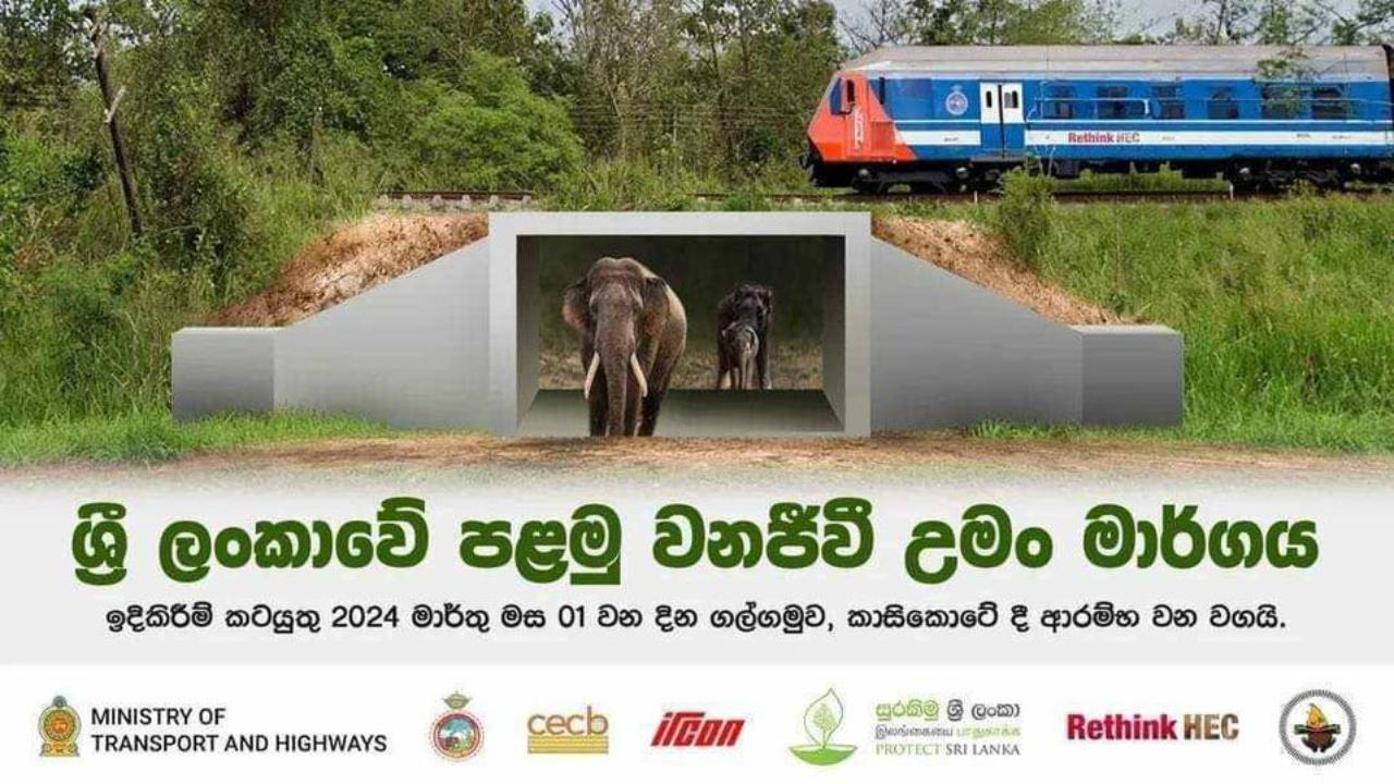 ශ්‍රී ලංකාවේ පළමු වනජීවී උමං මාර්ගයේ ඉදිකිරීම් කටයුතු ඇරඹේ