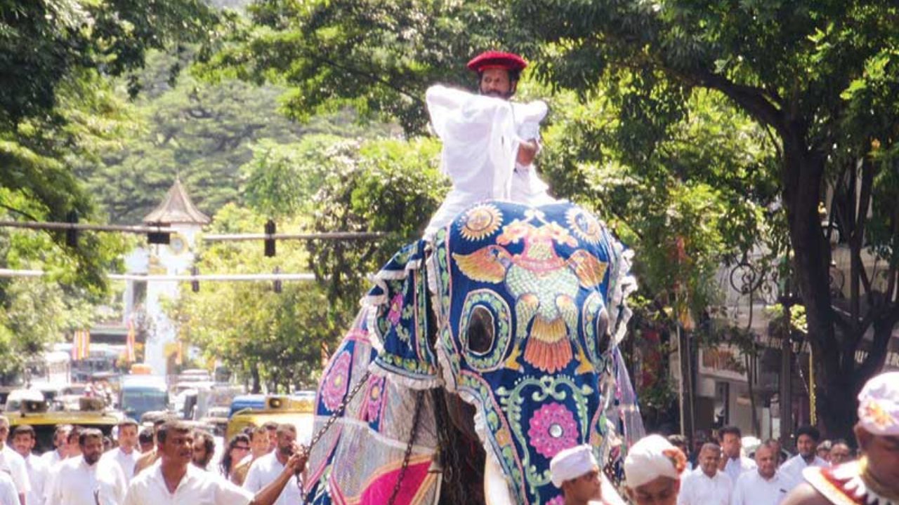 මහනුවර ඇසළ පෙරහර මංගල්‍යය අද ආරම්භ වේ